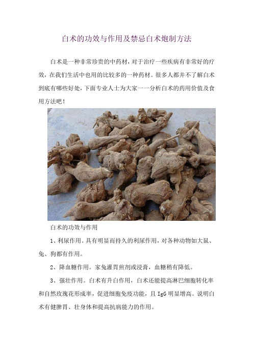 白术的功效与作用及禁忌 白术炮制方法