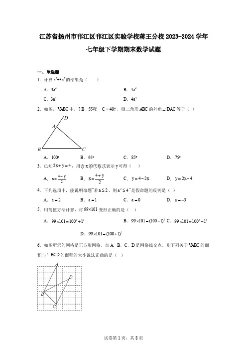 江苏省扬州市邗江区邗江区实验学校蒋王分校2023-2024学年七年级下学期期末数学试题