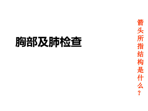 诊断学胸部和肺体格检查