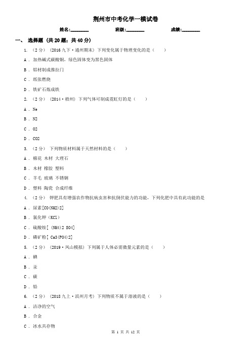荆州市中考化学一模试卷
