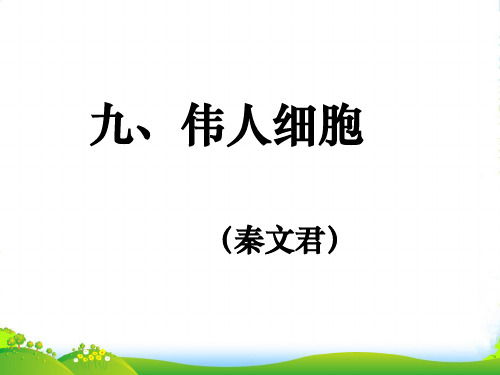 新苏教版七年级语文上册《伟人细胞》课件1