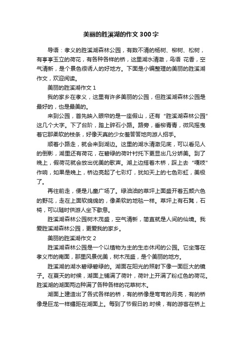 美丽的胜溪湖的作文300字