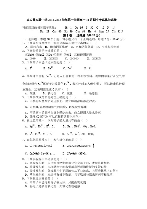 人教版高中化学必修一第一学期高一11月期中考试化学试卷