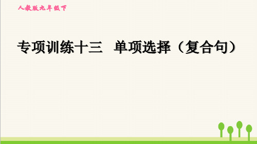 最新人教版英语中考专项训练十三 单项选择(复合句)