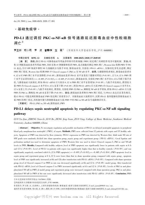 PD-L1 通过调控PKC-α-NF-kB 信号通路延迟脓毒血症中性粒细胞凋亡