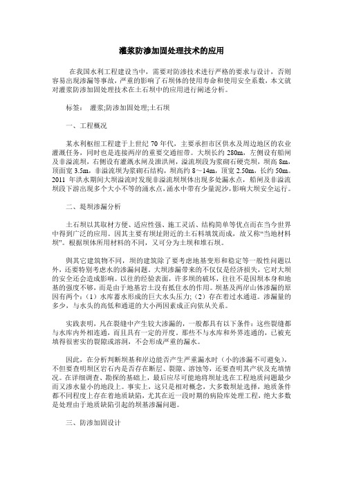 灌浆防渗加固处理技术的应用