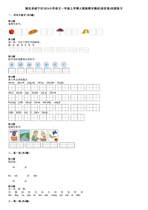 湖北省咸宁市2024小学语文一年级上学期人教版期末测试(培优卷)巩固练习