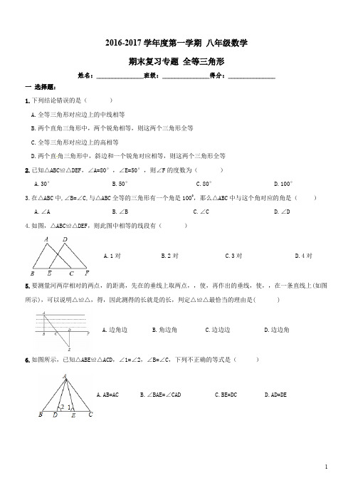 人教版八年级数学上《全等三角形》期末复习专题试卷及答案