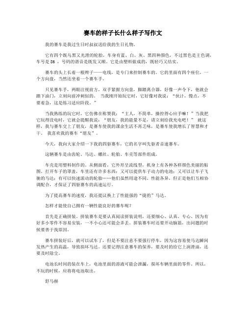 赛车的样子长什么样子写作文