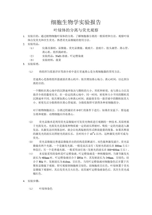 叶绿体的染色与观察 实验报告