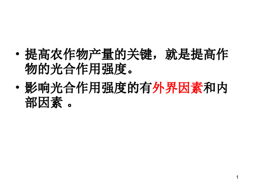 探究环境因素对光合作用强度的影响ppt课件