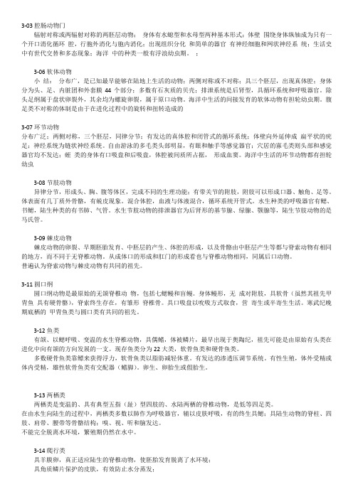 动物小结