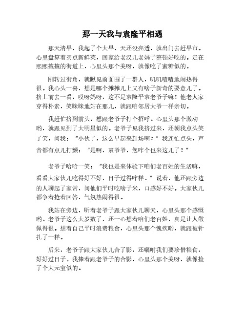 那一天我与袁隆平相遇作文600字