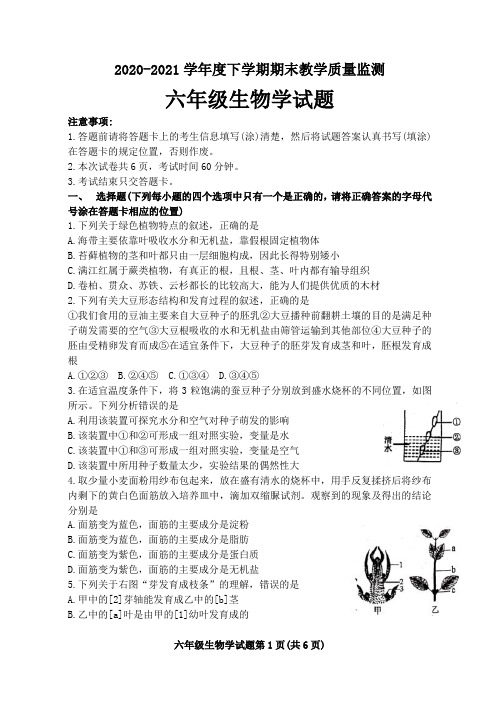 山东省泰安市肥城市2020-2021学年六年级下学期期末教学质量监测生物试题(word版,含答案)