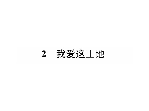秋人教版九年级语文上册同步作业课件:2 我爱这土地(共28张PPT)
