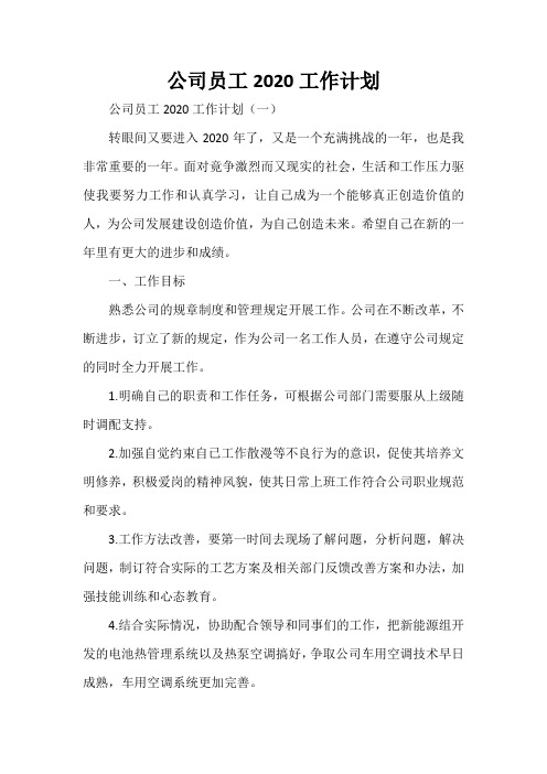 工作计划 工作计划范文 公司员工2020工作计划