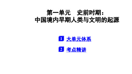 中国近代史第一单元 史前时期 中国境内早期人类与文明的起源