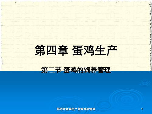 第四章蛋鸡生产蛋鸡饲养管理