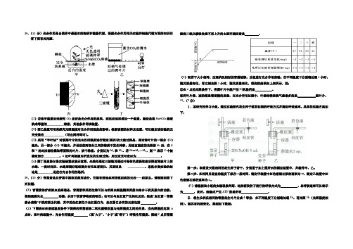 光合作用呼吸作用题