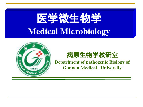 结核分枝杆菌PPT