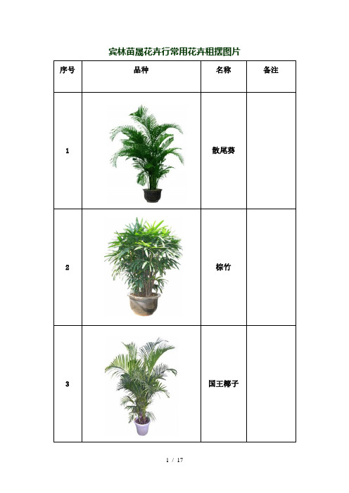 租摆植物图片