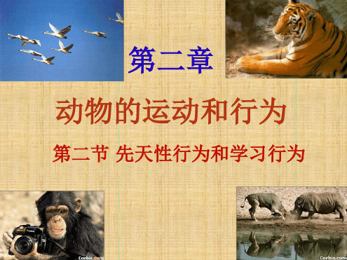 初中八年级生物上册第五单元第二章第二节先天性行为和学习行为名师优质课件新人教版