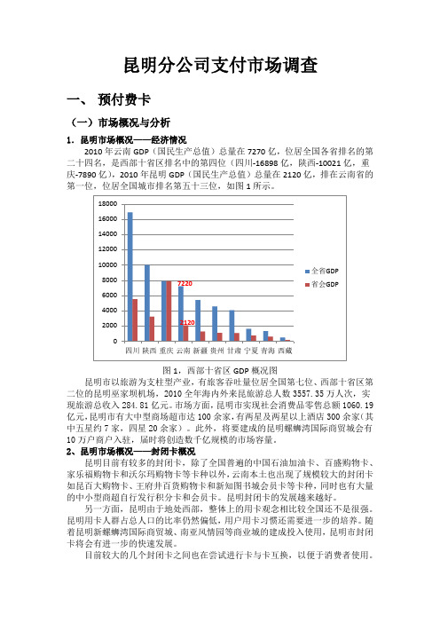 云南省昆明市支付市场调查报告