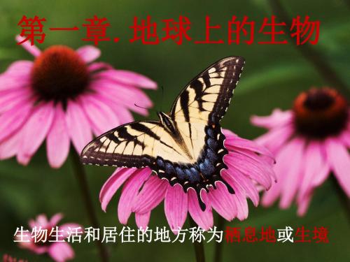 七年级科学上册第1章地球上的生物复习课件1(新版)华东师大版