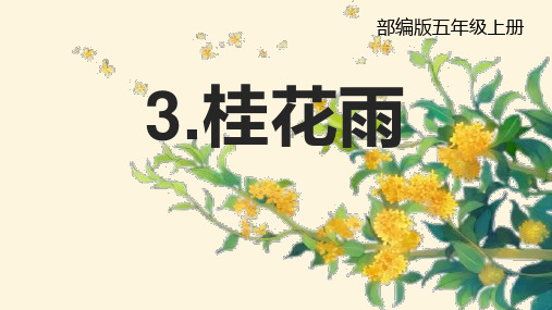 桂花雨课件(共22张PPT)