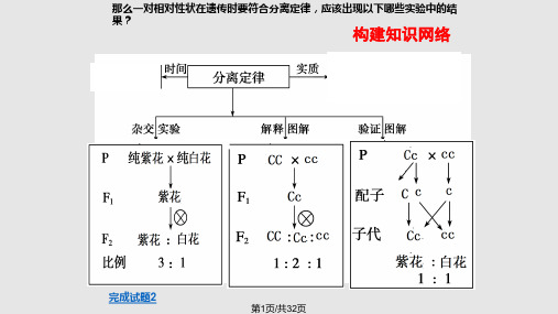 分离定律一轮复习PPT课件