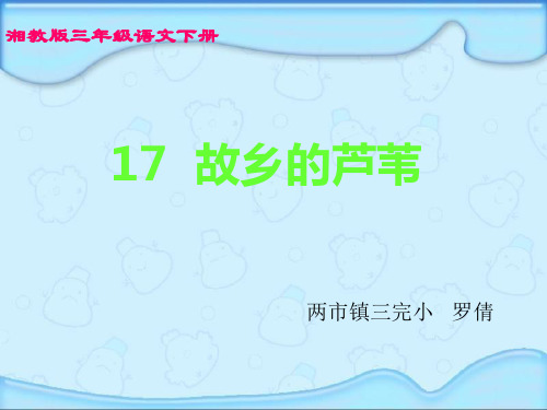 湘教版三年级语文下册《故乡的芦苇》课件