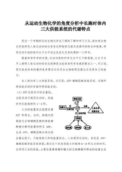 运动生物化学课程小论文