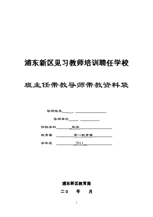 浦东新区见习学校教师规范化培训聘任学校班主任带教导师资料袋