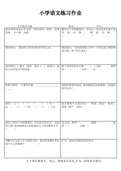 小学五年级语文课堂练习III (68)