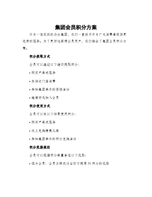 集团会员积分方案