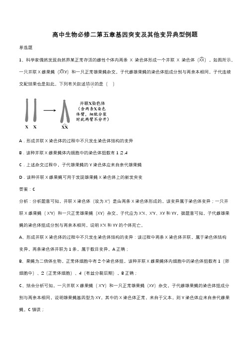 高中生物必修二第五章基因突变及其他变异典型例题(带答案)