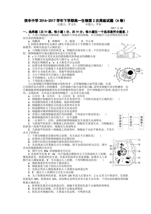 江西省赣州市信丰中学2016-2017学年高一下学期生物第