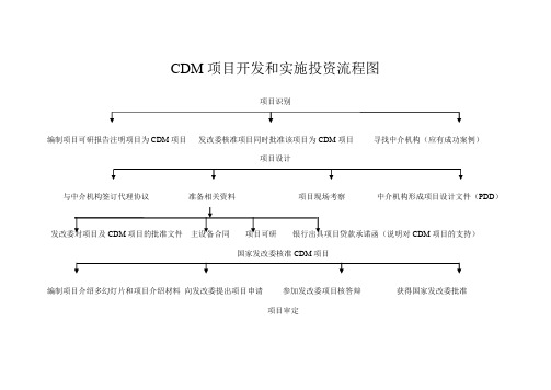 CDM项目开发和实施流程1