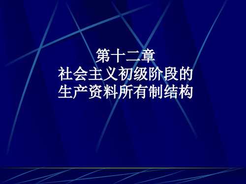 社会主义初级阶段的生产资料所有制结构