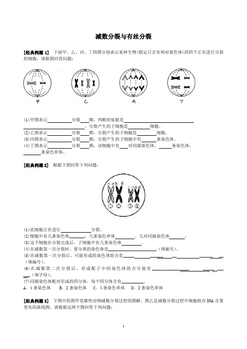 减数分裂与有丝分裂经典例题