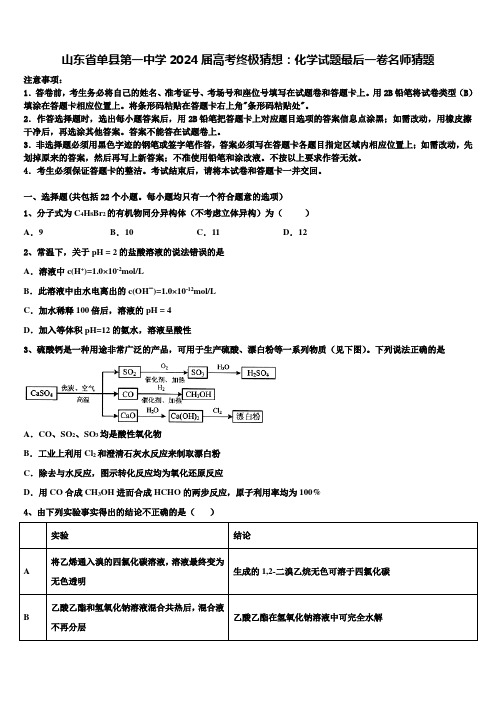 山东省单县第一中学2024届高考终极猜想：化学试题最后一卷名师猜题含解析