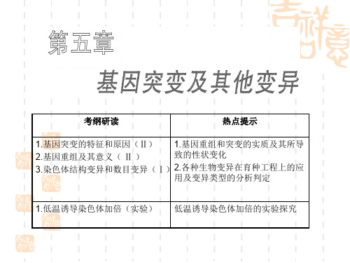 三种可遗传变异ppt课件