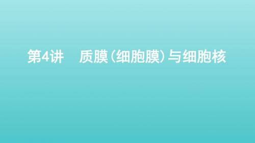 山东省高考生物复习第2单元细胞的基本结构和物质的运输第4讲质膜细胞膜与细胞核课件