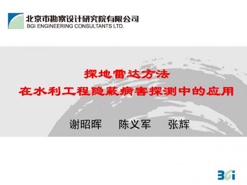 探地雷达方法在水利工程隐蔽病害探测中的应用