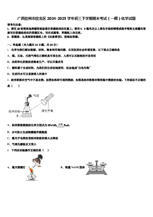 广西钦州市钦北区2024-2025学年初三下学期期末考试(一模)化学试题含解析