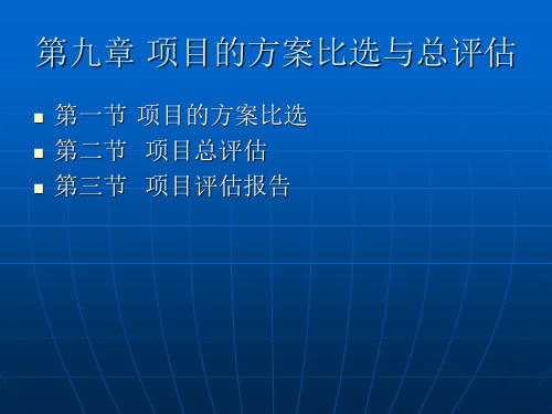 第九章 项目的方案比选与总评估