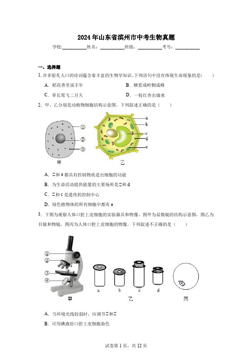 【中考真题】2024年山东省滨州市中考生物试卷(附答案)