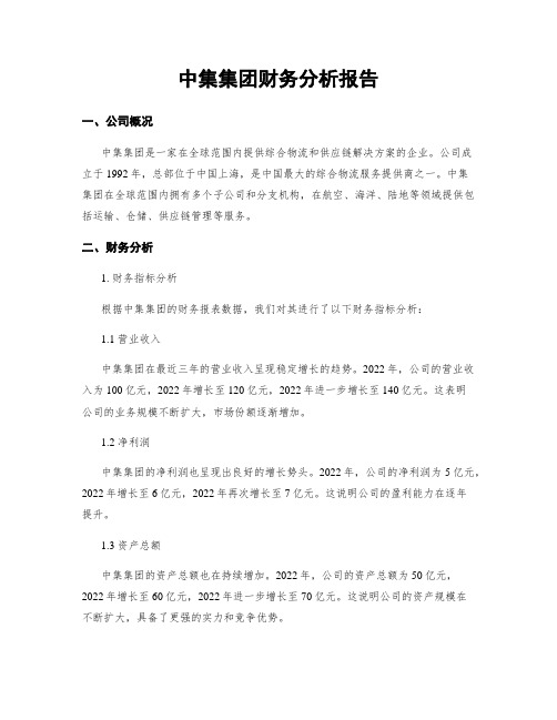 中集集团财务分析报告 (2)