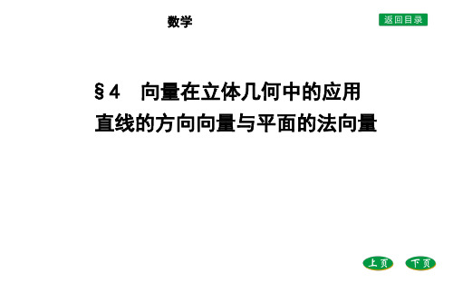 北师大版选择性必修第一册第三章4.1 直线的方向向量与平面的法向量课件(25张)