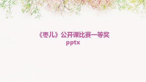 《枣儿》公开课比赛一等奖pptx